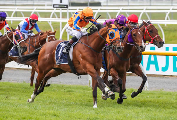 Summer Monsoon dashes home to win the Gr.3 Lindauer Stewards’ Handicap (1200m) Photo: Race Images CHCH