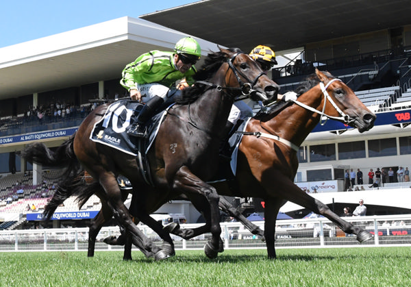 Summer Schemer (inside) winning on debut at Ellerslie on Saturday. Photo: Kenton Wright (Race Images)