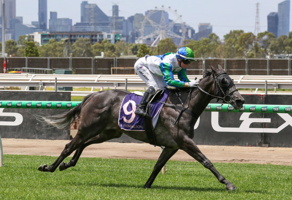 Sun Gift extends her hot streak with a win in the A$130,000 Honouring Our Jockeys Plate (2000m) at Flemington. Photo: Bruno Cannatelli
