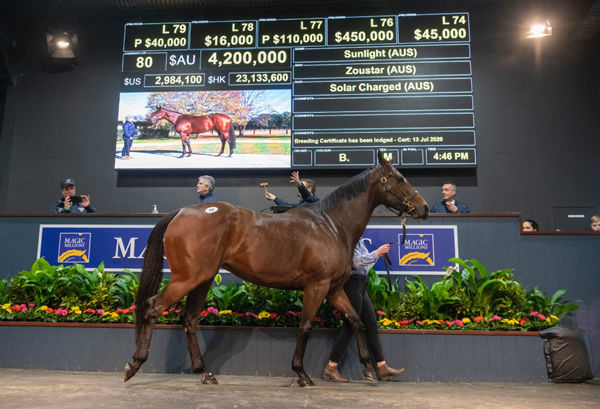 Sunlight is the benchmark at Magic Millions.