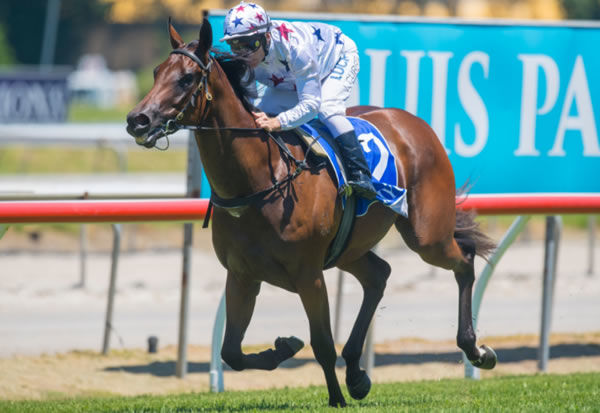 Sunlight is one of three Magic Millions 2YO Classic winners sold by Widden Stud in the past eight years