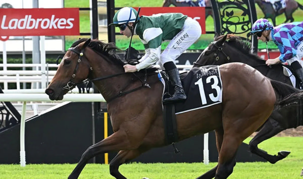 Sunrays is the second runner in the race for Hellbent - image Trackside Photography