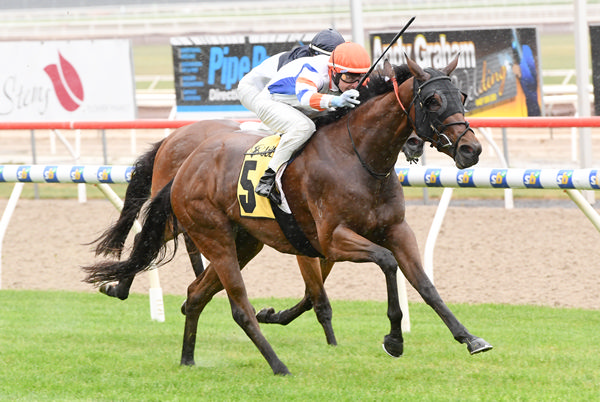 Sunset Dreaming wins the $175,000 VOBIS Gold Eureka Stockade - image Brett Holburt / Racing Photos 