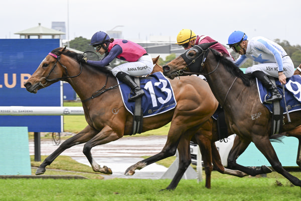 Sunshine Law and Anna Roper get the cash at Rosehill - image Bradley Photography
