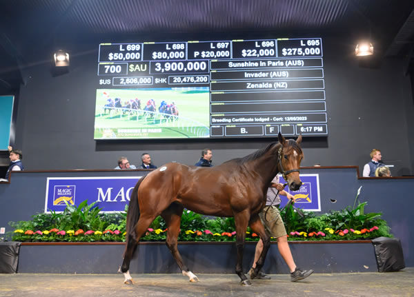Sunshine in Paris was a showstopper at the Magic Millions National Broodamre Sale.