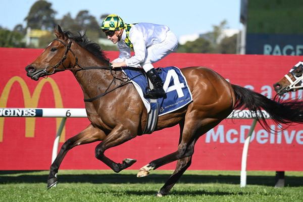 Sunshine in Paris wins the G2 Sheraco to earn a crack at The Everest - image Steve Hart 