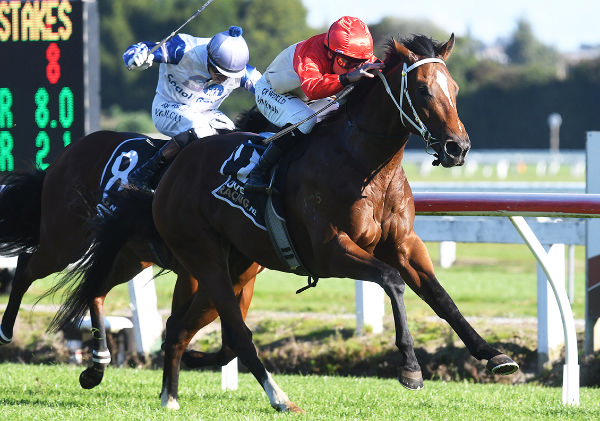 Super Photon and Michael McNab power to victory in the Listed Waikato Equine Veterinary Centre 2YO Stakes (1400m) at Te Rapa.  Photo: Kenton Wright (Race Images)