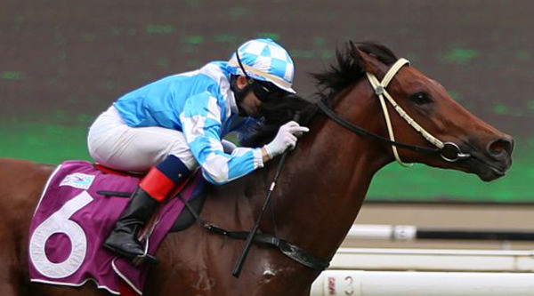 Super Salute wins the EW Barker Trophy Sng G2 - image Singapore Turf Club 