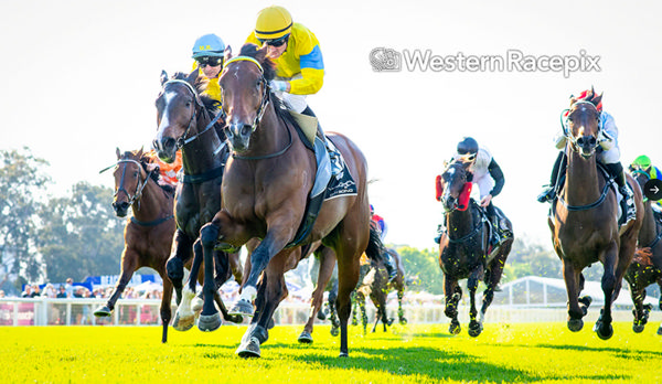 Super Smink wins the G2 Lee Steere Stakes - image Western Racepix