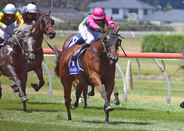 Super Stike (outside) winning the Gr.3 Anniversary Handicap (1600m) at Trentham on Saturday. Photo: Race Images