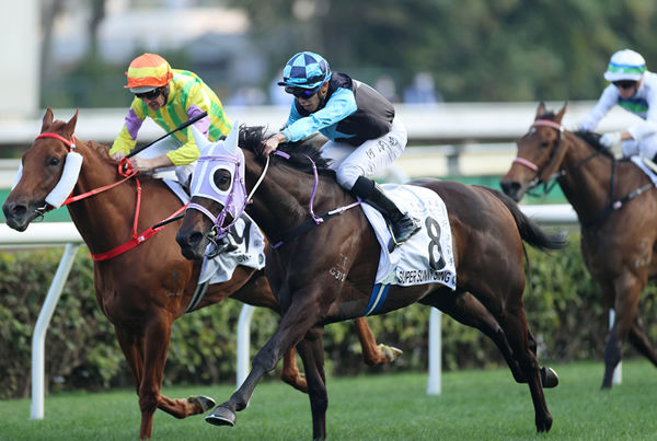 Super Sunny Sing wins the Hong Kong Classic Cup - image HKJC