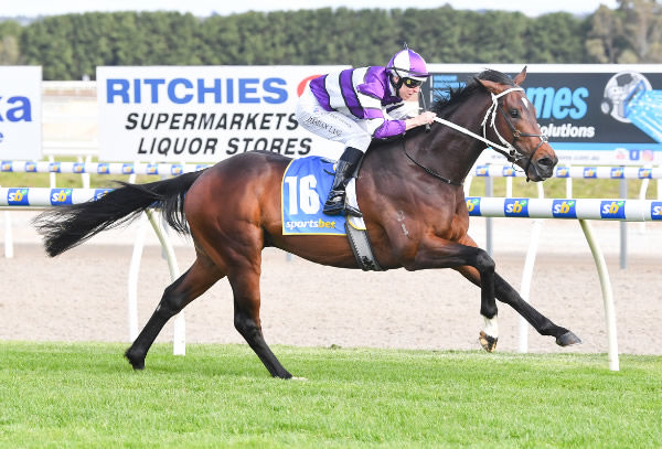 Superluminal scores at his second start at Ballarat - image Pat Scala / Racing Photos