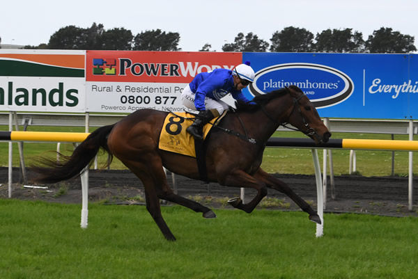 Supreme Heights is out on her own as she nears the finish at New Plymouth Photo Credit: Race Images – Grant Matthew