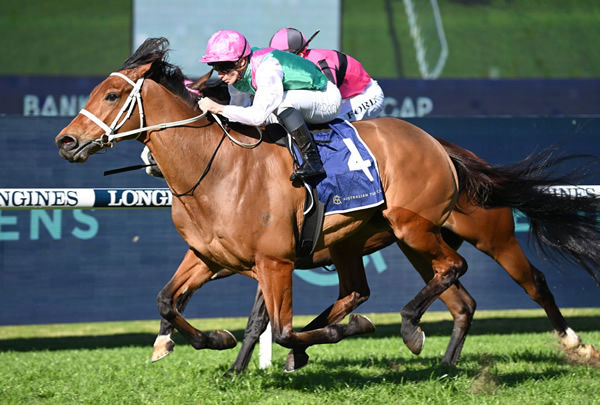 Surefire wins at Rosehill in some world famous colours - image Steve Hart 
