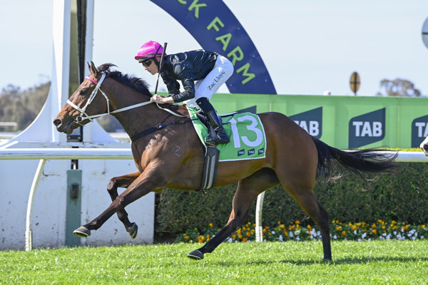 Surf's Up salutes at Warwick Farm - image Bradley Photography 