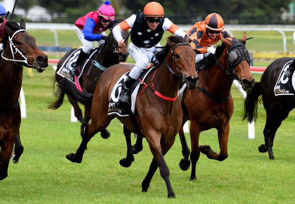 Sweet Clementine (orange cap) bursts between runners to take out the Listed Staphanos Classic (1950m) at Rotorua Photo Credit: Race Images – Kenton Wright