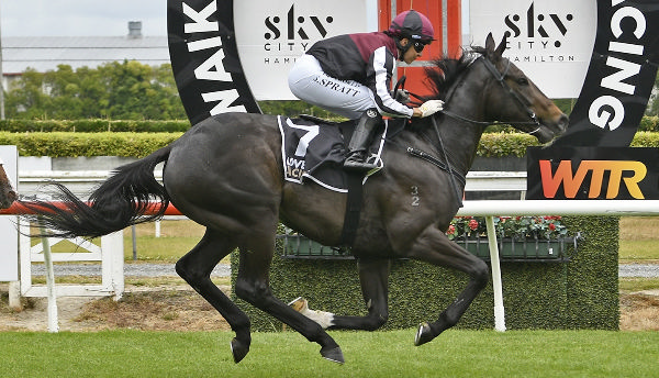 Sweet Ice winning the ICIB Brokerweb-Insurance Brokers 2YO (1100m) at Te Rapa on Saturday.   Photo: Kenton Wright (Race Images)