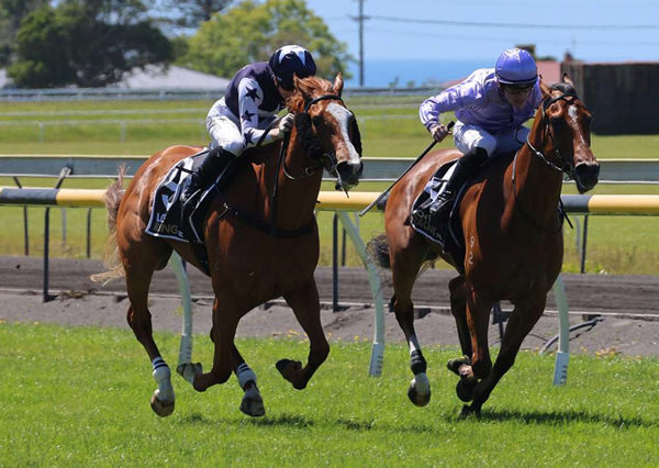 Sweet Talkin Gal (outside) on her way to winning at New Plymouth on Wednesday. Photo: Jane Davidson (Race Images)