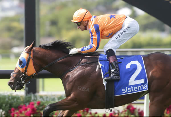 Sword of State is a G1 winning 2YO by champion sire Snitzel.