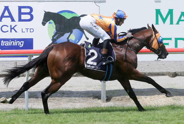 Sword Of State provides Troy Harris with an armchair ride as he cruises home to win the Gr.3 Waikato Stud Slipper (1200m) at Matamata Photo Credit: Trish Dunell