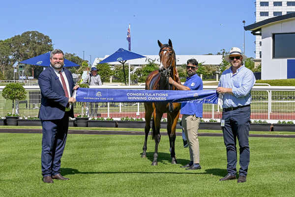 The Speedy Swordplay Could Head Towards The Magic Millions carnival - Image Bradley Photos