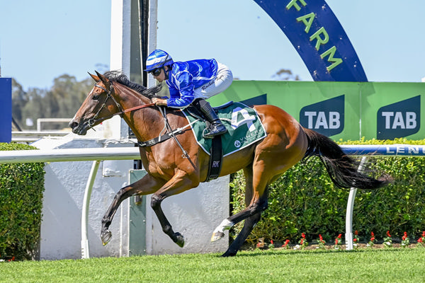 3yo Shalaa Filly Swordplay Wins With Ease, Daylight Second - Image Bradley Photos