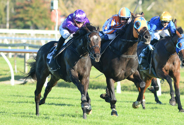 Swords Drawn (purple cap, white stars) gets the better of Leaderboard to win the Listed Power Farming Hawke’s Bay Cup (2200m) Photo Credit: Race Images – Peter Rubery