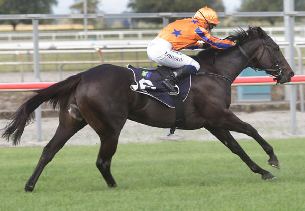 Synchronize winning at Matamata on Wednesday. Photo: Trish Dunell