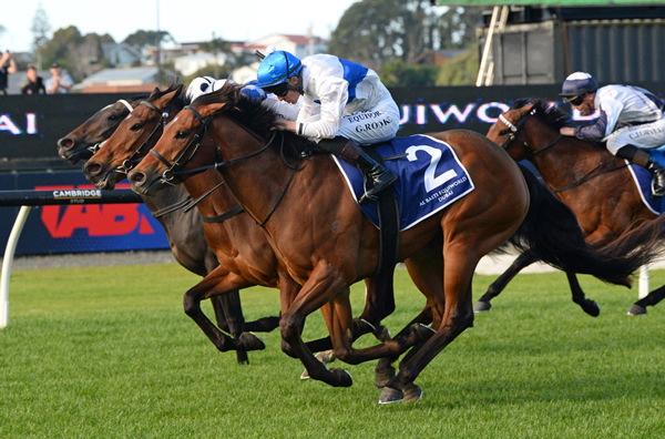 Tajana winning Saturday's Gr.3 Al Basti Equiworld Dubai Sunline Vase (1400m) at Ellerslie.  Photo: Therese Davis
