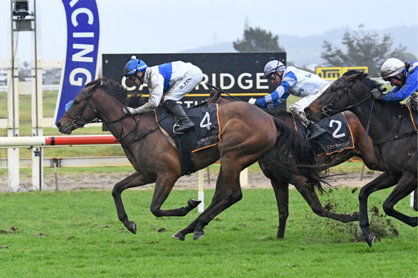 Tajana winning the Gr.3 Cambridge Stud Northland Breeders’ Stakes (1200m) at Ruakaka on Saturday. Photo: Therese Davis