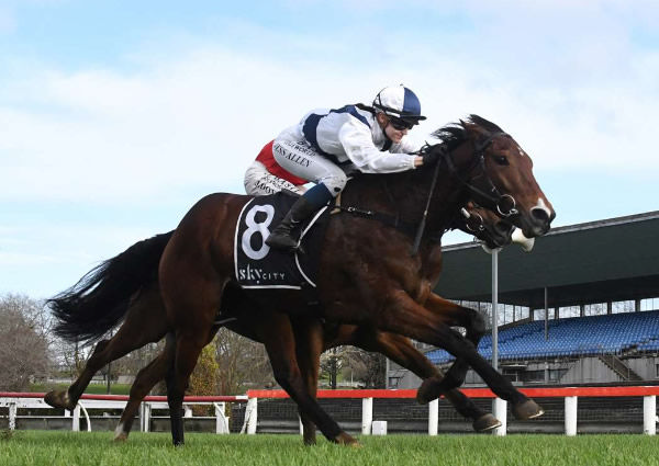 Takeachance winning at Pukekohe on Sunday.  Photo: Kenton Wright (Race Images)