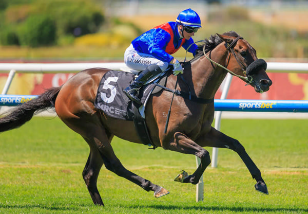 Taken (NZ) recorded his sixth career win at Caulfield on Saturday. Photo: Grant Courtney