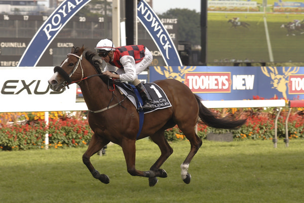 Takoever Target wins the G1 TJ Smith in 2009 as a 9YO - image Bradley Photography