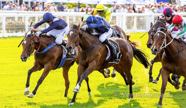 Talkanco returns in winning form - image Western Racepix.