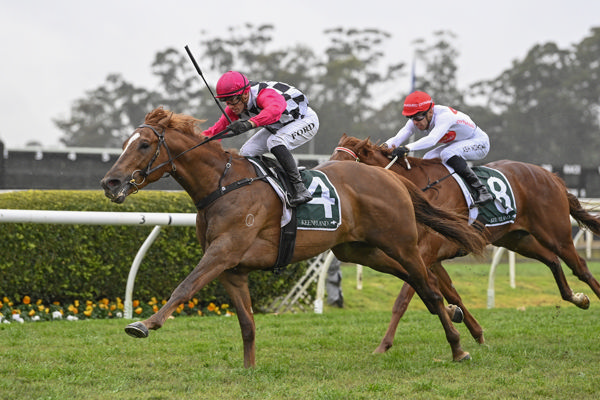 Tambeloa broke his maiden at Warwick Farm - image Bradley Photography