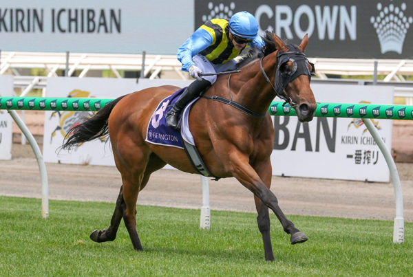 Tarvue secures a determined victory in the A$130,000 Off The Track Trophy (1800m) at Flemington. Photo: Bruno Cannatelli