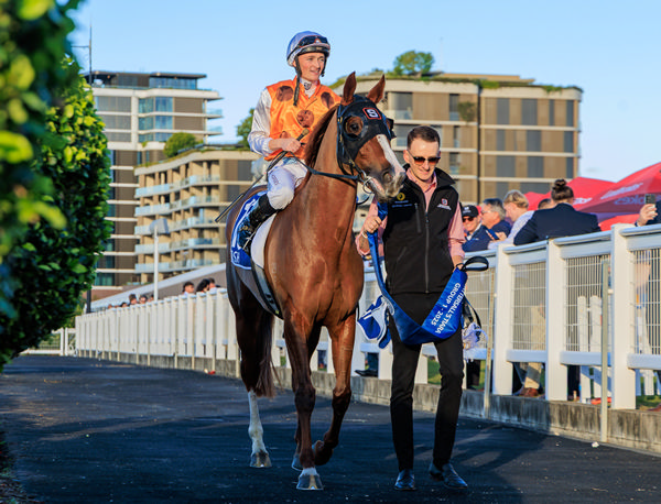 First G1 for Tashi and Tom Sherry - image Grant Courtney