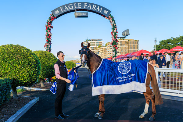 Tashi may well be the last G1 winner for her sire Sebring -image Grant Courtney 