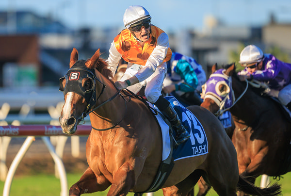Tashi wins the G1 Tatts Tiara - image Grant Courtney