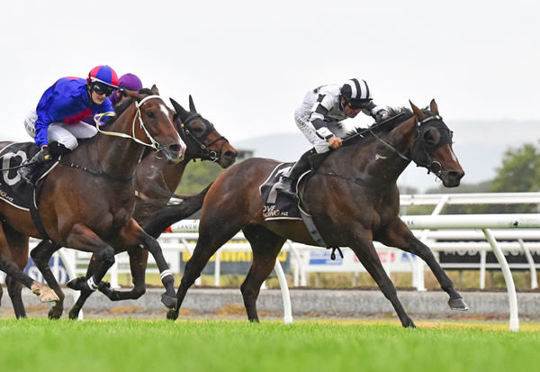 Craig Grylls drives Tavattack to victory in the Listed Bramco Granite & Marble Flying Handicap (1400m) Photo: Race Images – Peter Rubery