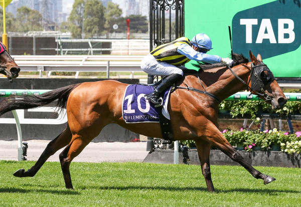 Tarvue scores her second victory at Flemington on Saturday. Photo: Bruno Cannatelli
