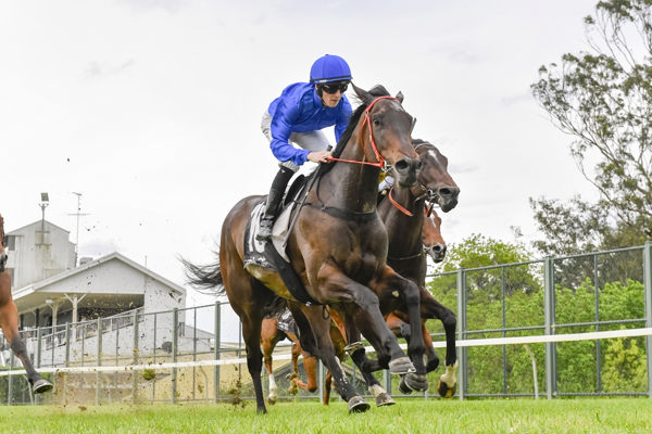 Taxation scores at Hawkesbury on debut - image Bradley Photos