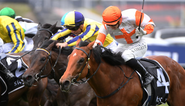 Te Encuentro (centre, yellow and blue) pictured on her way to winning on debut at Ellerslie on Boxing Day.  Photo: Kenton Wright (Race Images)