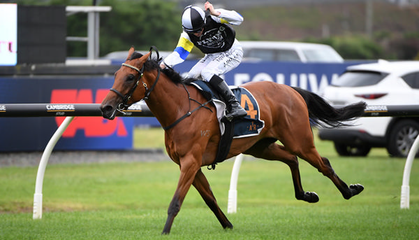 Tellum winning the Gr.2 Hallmark Stud Eight Carat Classic (1600m) at Ellerslie on Boxing Day.  Photo: Kenton Wright (Race Images)