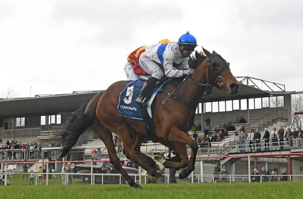 Tempest Moon will contest the A$304,000 Jericho Cup (4600m) at Warrnambool on Sunday.  Photo: Kenton Wright (Race Images)