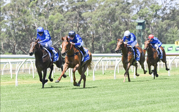 Tempted leads the blue army at Warwick Farm - image Bradley Photography