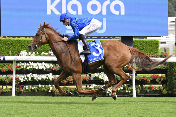 Another Dominant Victory For Street Boss Filly Tempted - Image Bradley Photos