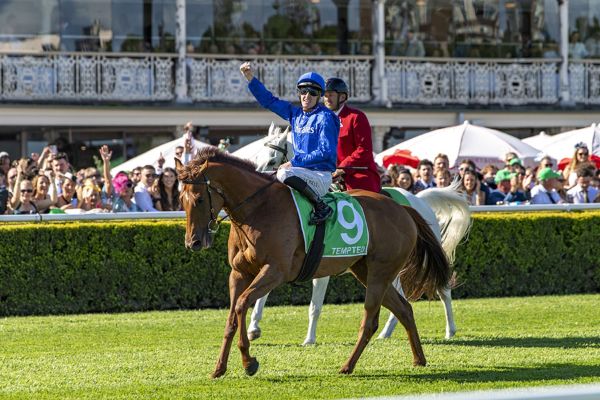 The King Has Been Dethroned As Tempted Scales Everest | Breednet