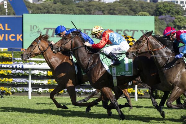 The King Has Been Dethroned As Tempted Scales Everest | Breednet