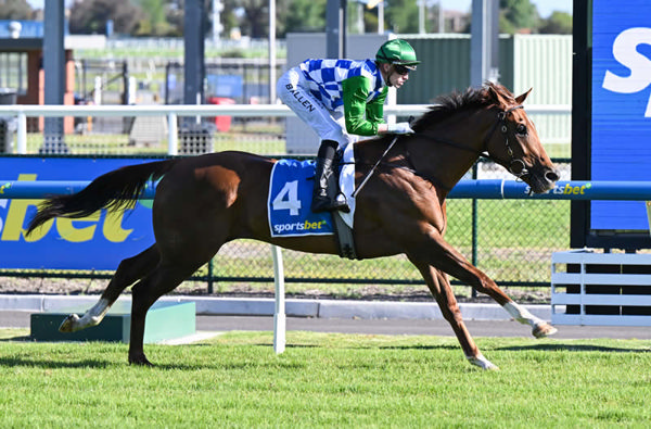 Tennessee Bound stays perfect with a Caulfield victory - image Pat Scala / Racing Photos